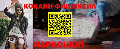 индика Кингисепп