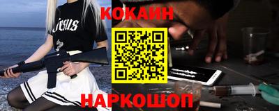 индика Кингисепп