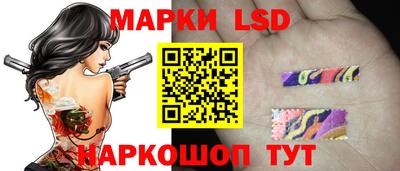 mdpv Кимры