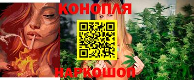 mdpv Кимры