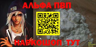 индика Кингисепп