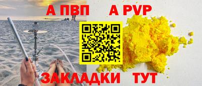 индика Кингисепп