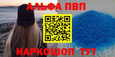 индика Кингисепп